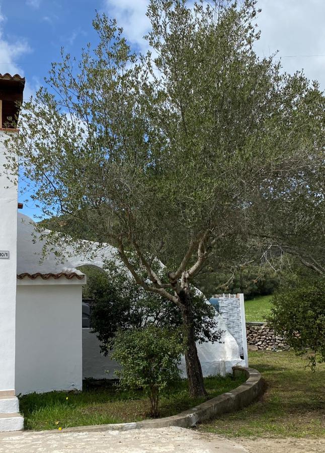 Casa Vacanza Porta Smeralda 올비아 외부 사진