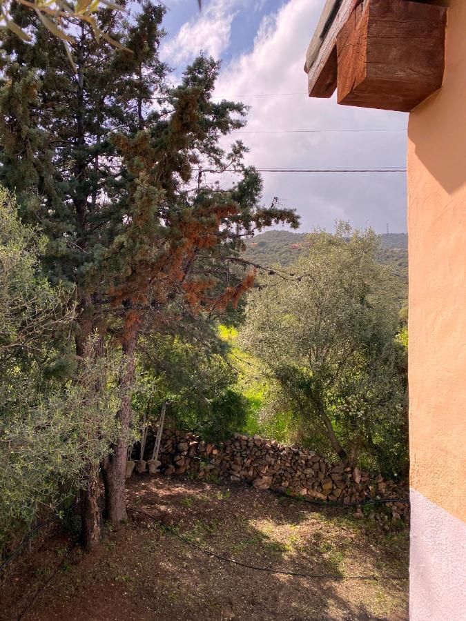Casa Vacanza Porta Smeralda 올비아 외부 사진