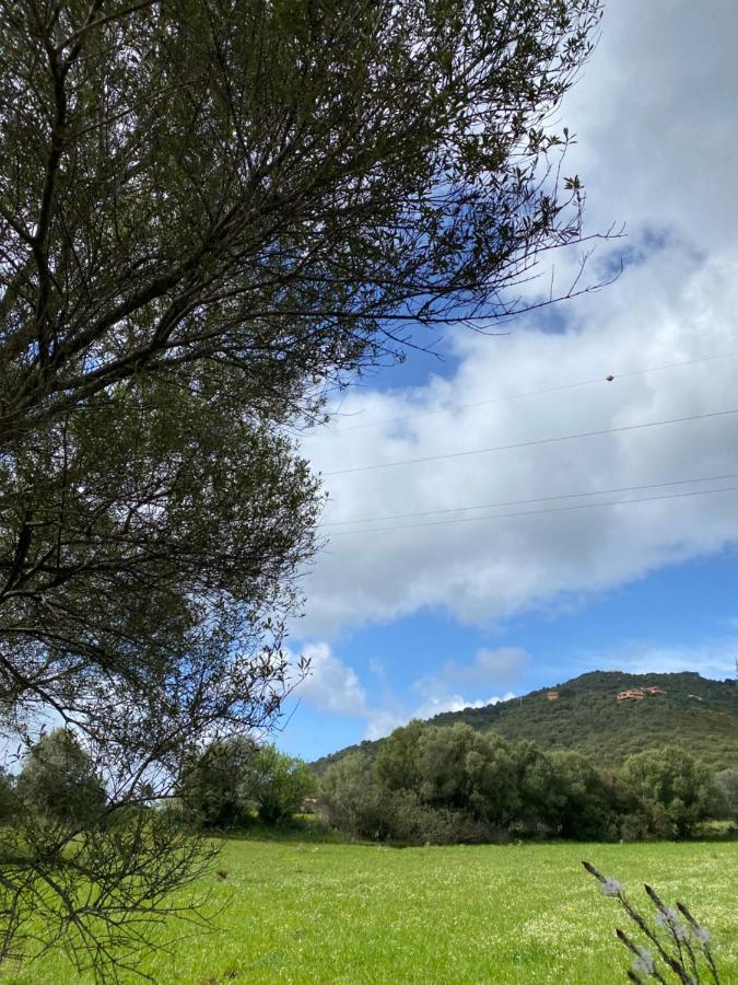 Casa Vacanza Porta Smeralda 올비아 외부 사진