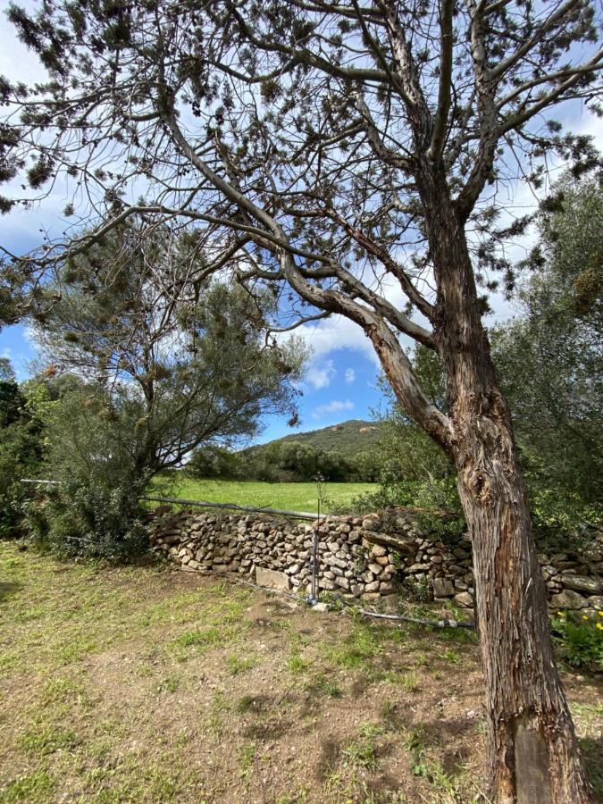 Casa Vacanza Porta Smeralda 올비아 외부 사진
