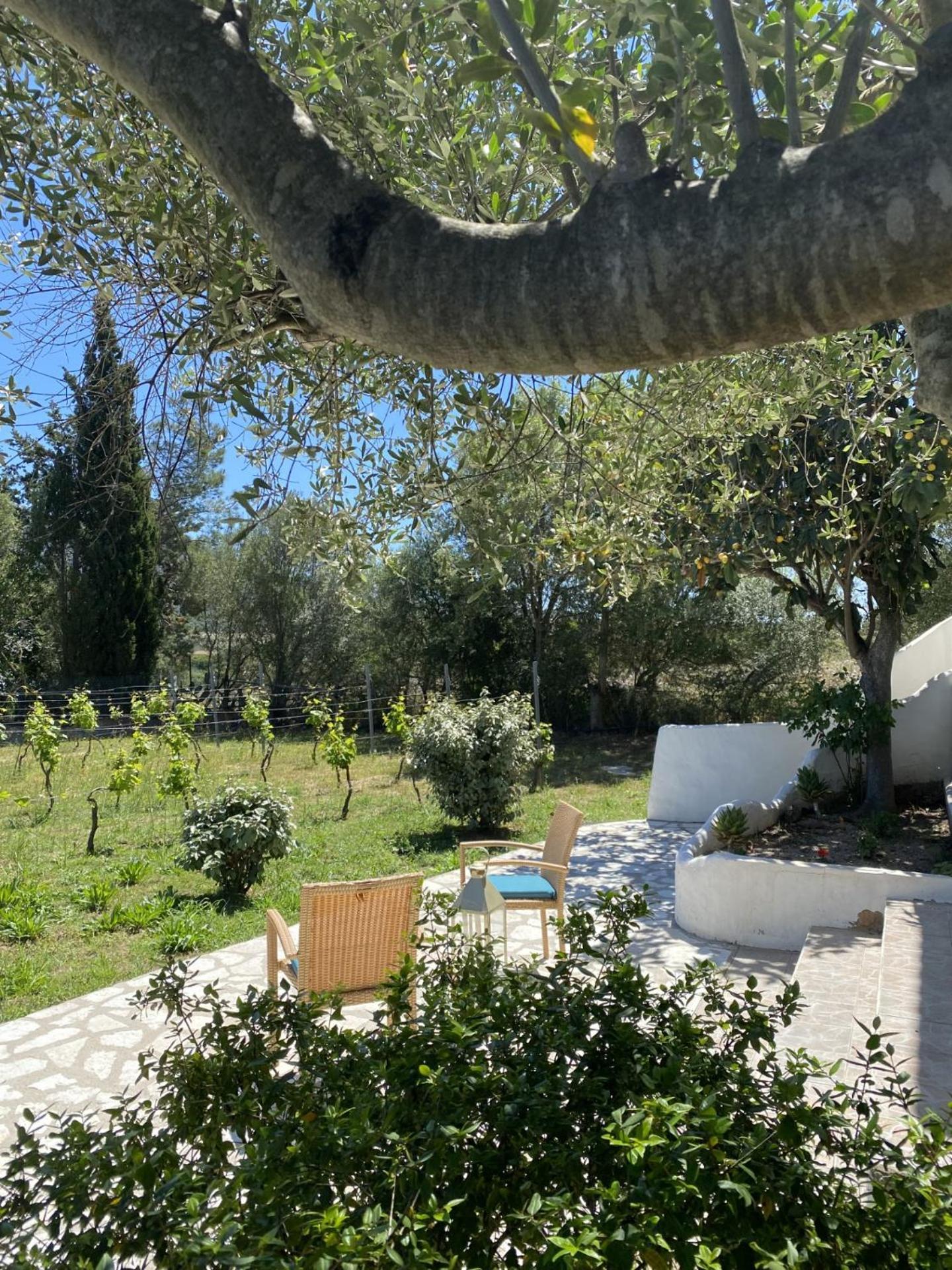 Casa Vacanza Porta Smeralda 올비아 외부 사진
